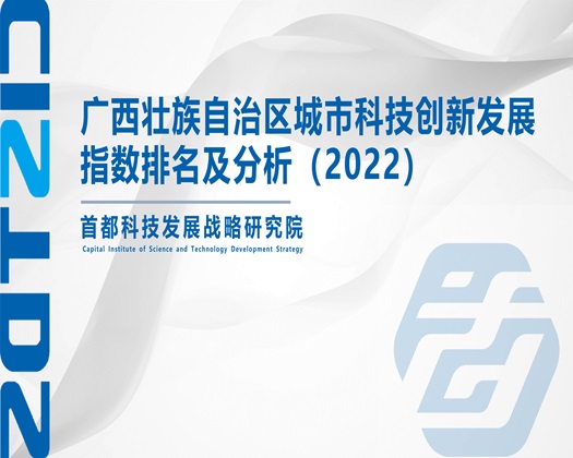 毛片玩穴日B喷水【成果发布】广西壮族自治区城市科技创新发展指数排名及分析（2022）